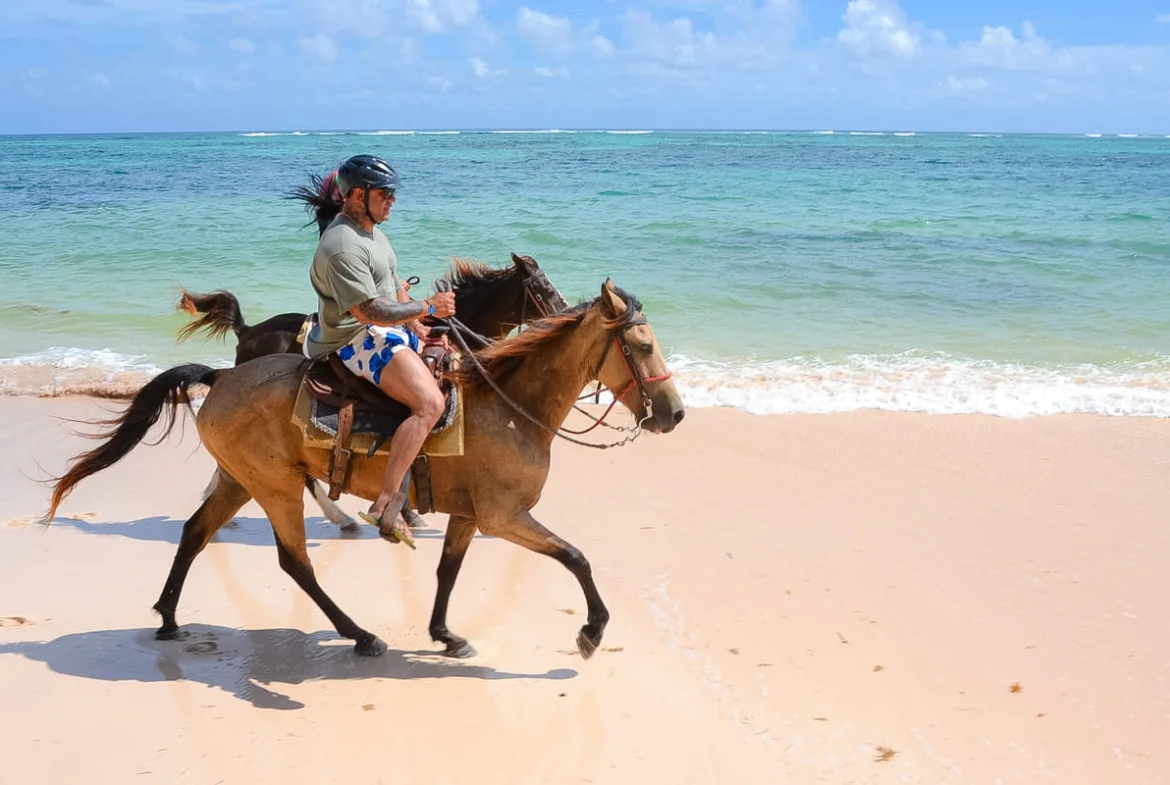 Caballos descansando bajo las palmeras cerca de la playa en Punta Cana