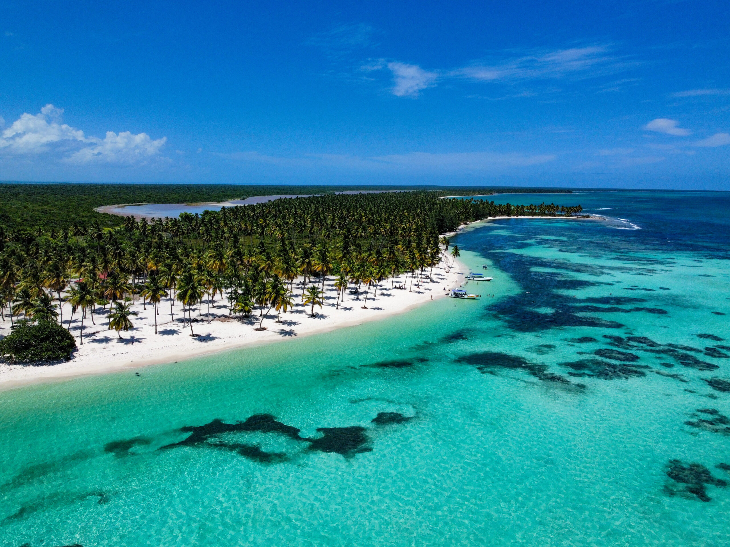 Saona Island catamaran tour experience