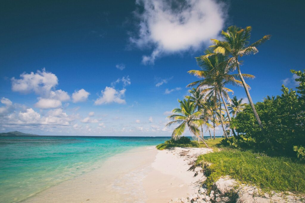 Palm-lined beach with clear blue water