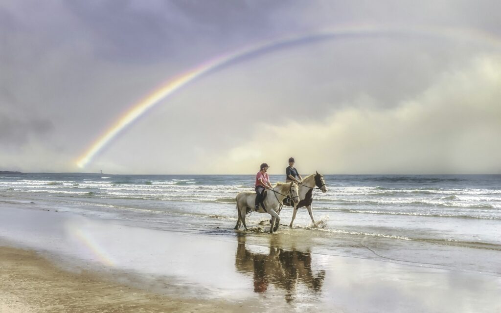 Horseback riding on the beach