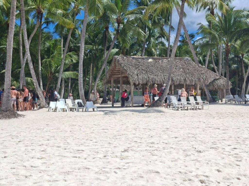 White-sand beach with palm trees on Saona Island