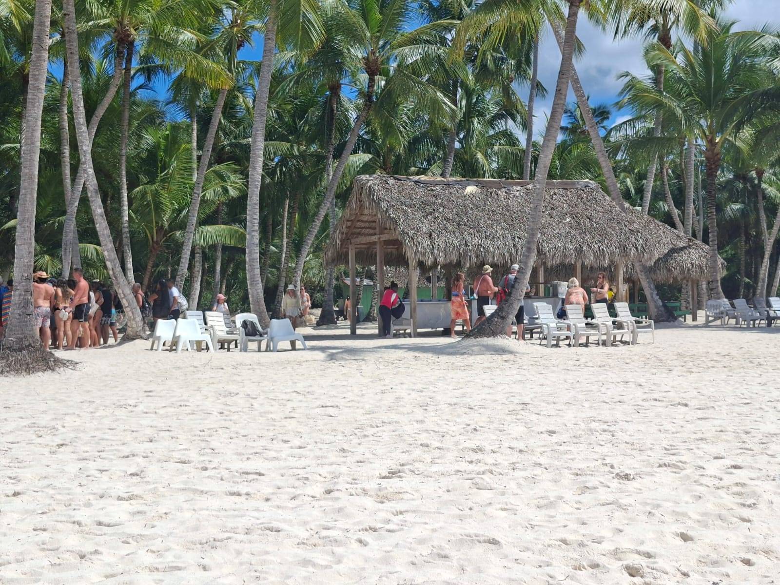 White-sand beach with palm trees on Saona Island